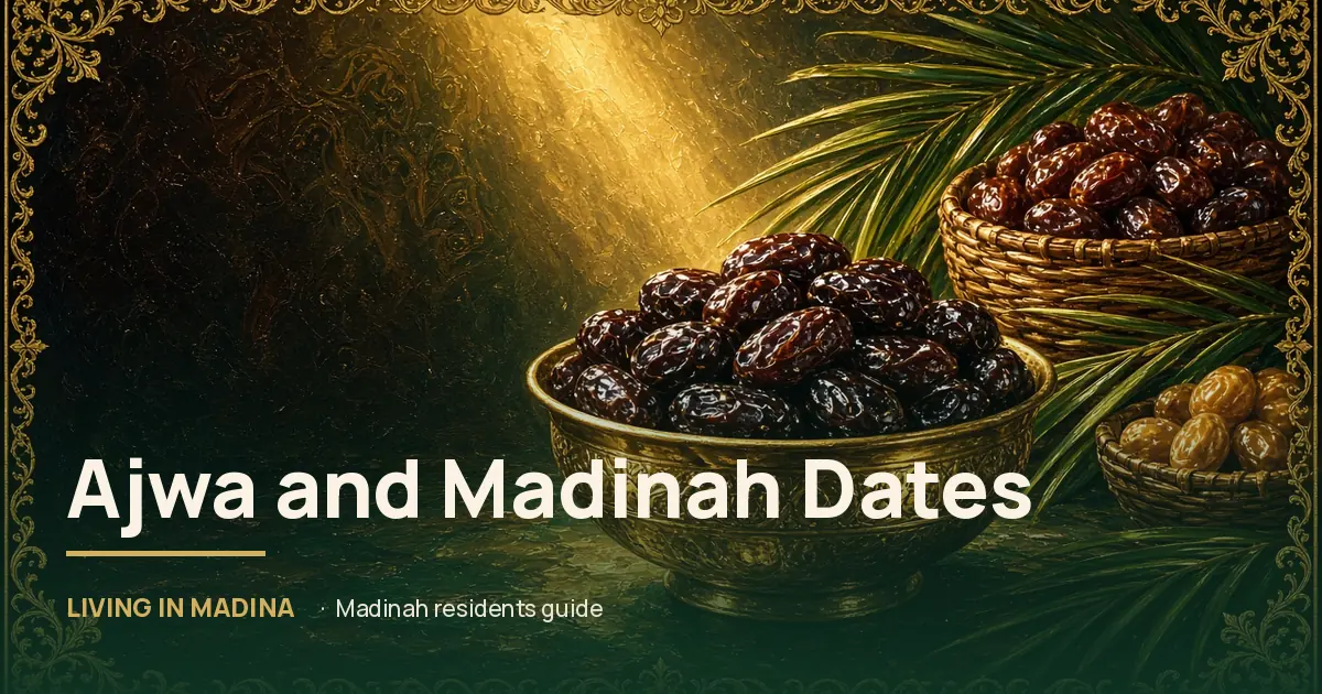 Madinah Dates for Residents: Ajwa and Other Varieties, the Central Dates Market, and How to Store Them